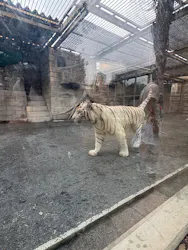 東武動物公園に投稿された画像（2026/9/27）