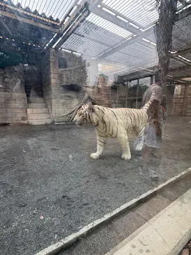 東武動物公園に投稿された画像（2026/9/27）