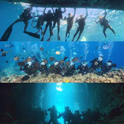 冒険島　沖縄総合アウトドアツアー専門店に投稿された画像（2026/9/27）