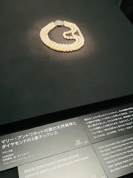 マリー・アントワネット・スタイルに投稿された画像（2026/9/27）