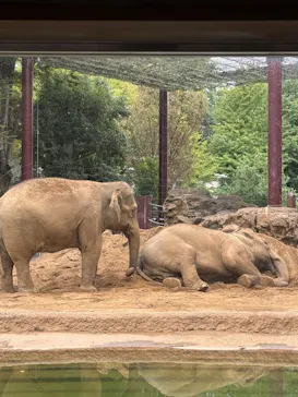 恩賜上野動物園に投稿された画像（2026/9/28）