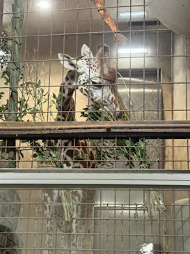 恩賜上野動物園に投稿された画像（2026/9/28）