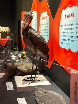 特別展「いきもの超ワールド展　国立科学博物館×ダーウィンが来た！」（国立科学博物館）に投稿された画像（2026/9/28）