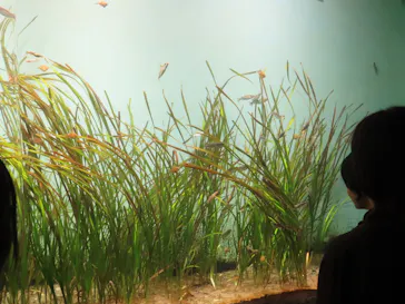 仙台うみの杜水族館に投稿された画像（2026/9/28）