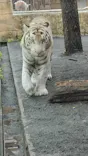 東武動物公園に投稿された画像（2026/9/28）