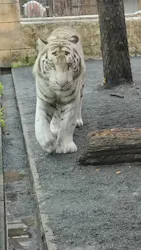 東武動物公園に投稿された画像（2026/9/28）