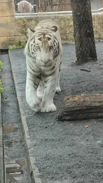 東武動物公園に投稿された画像（2026/9/28）