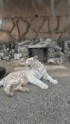東武動物公園に投稿された画像（2026/9/28）
