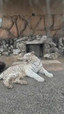 東武動物公園に投稿された画像（2026/9/28）
