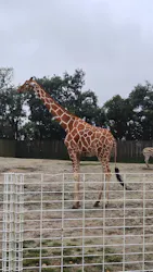 東武動物公園に投稿された画像（2026/9/28）