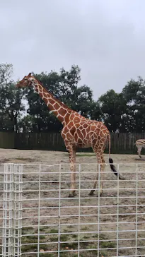 東武動物公園に投稿された画像（2026/9/28）