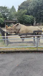 東武動物公園に投稿された画像（2026/9/28）