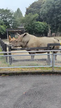 東武動物公園に投稿された画像（2026/9/28）