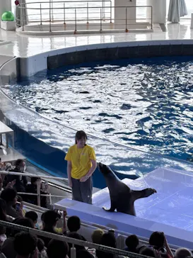 アクアワールド茨城県大洗水族館に投稿された画像（2026/9/28）