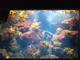 新江ノ島水族館に投稿された画像（2026/9/28）