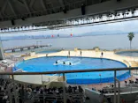 マリンワールド海の中道に投稿された画像（2026/9/28）