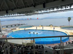 マリンワールド海の中道に投稿された画像（2026/9/28）