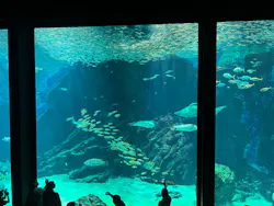 マリンワールド海の中道に投稿された画像（2026/9/28）