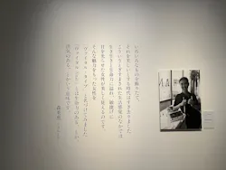 生誕100年　森英恵 ヴァイタル・タイプに投稿された画像（2026/9/28）