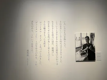 生誕100年　森英恵 ヴァイタル・タイプに投稿された画像（2026/9/28）