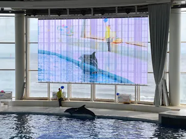 アクアワールド茨城県大洗水族館に投稿された画像（2026/9/28）