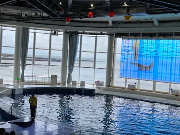 アクアワールド茨城県大洗水族館に投稿された画像（2026/9/28）