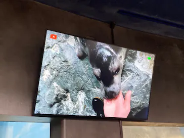 アクアワールド茨城県大洗水族館に投稿された画像（2026/9/28）