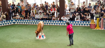 ノーザンホースパークに投稿された画像（2026/9/28）