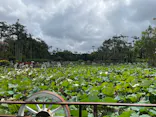 美らヤシパークオキナワ・東南植物楽園に投稿された画像（2026/9/28）