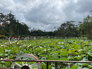美らヤシパークオキナワ・東南植物楽園に投稿された画像（2026/9/28）