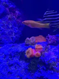 竹島水族館に投稿された画像（2026/9/28）