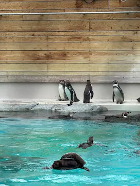 天王寺動物園に投稿された画像（2026/9/28）