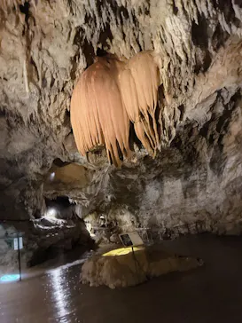 CAVE OKINAWAに投稿された画像（2026/9/28）