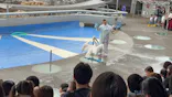 大分マリーンパレス水族館 「うみたまご」に投稿された画像（2026/9/28）