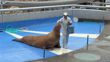 大分マリーンパレス水族館 「うみたまご」に投稿された画像（2026/9/28）