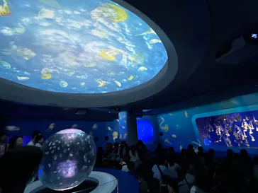 新江ノ島水族館に投稿された画像（2026/9/28）