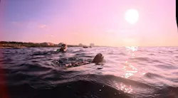 元気玉に投稿された画像（2026/9/29）