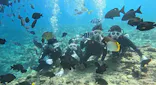 武藤潜水に投稿された画像（2026/9/29）