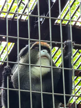 恩賜上野動物園に投稿された画像（2026/9/29）