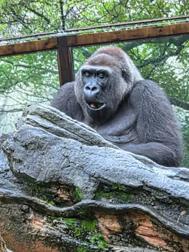恩賜上野動物園に投稿された画像（2026/9/29）
