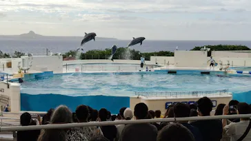 沖縄美ら海水族館に投稿された画像（2026/9/29）