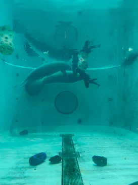 沖縄美ら海水族館に投稿された画像（2026/9/29）