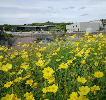 万博記念公園に投稿された画像（2026/9/29）