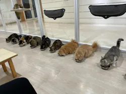 Cat Café MOFF 静岡PARCO店に投稿された画像（2026/9/29）