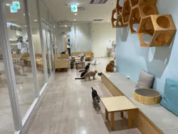 Cat Café MOFF 静岡PARCO店に投稿された画像（2026/9/29）