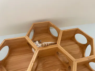 Cat Café MOFF 静岡PARCO店に投稿された画像（2026/9/29）
