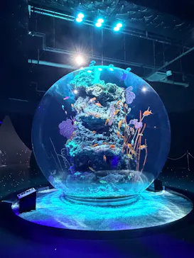 AQUARIUM × ART　atoaに投稿された画像（2026/9/29）