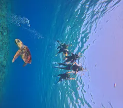 Sea World（シーワールド）に投稿された画像（2026/9/29）