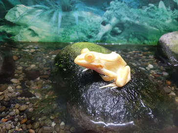 越前松島水族館に投稿された画像（2026/9/29）