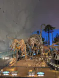 福井県立恐竜博物館に投稿された画像（2026/9/30）